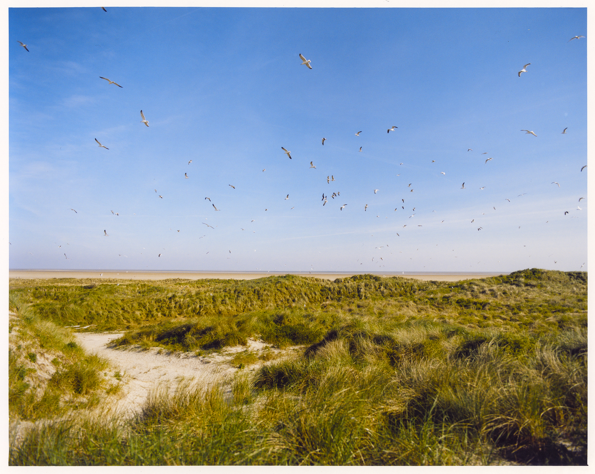 Beachcombers for De Groene Amsterdammer